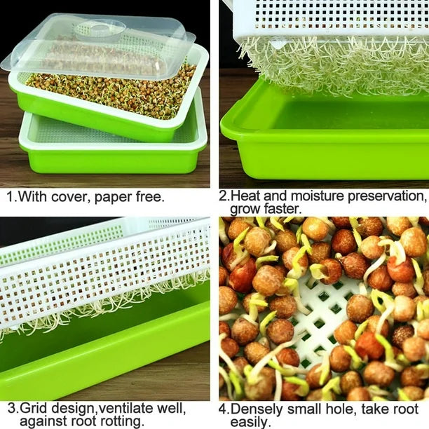 (3) Three Tray Kit + 1/2 lb. Wheat Berry seeds & 1/2 lb. of Broccoli seeds