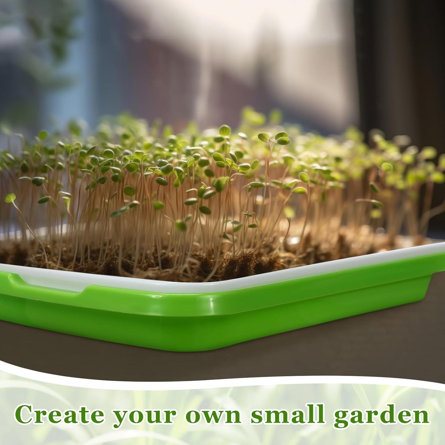 Microgreen grow station - 5 shelf with / 10 trays + 4 grow light kit + Free seed kit