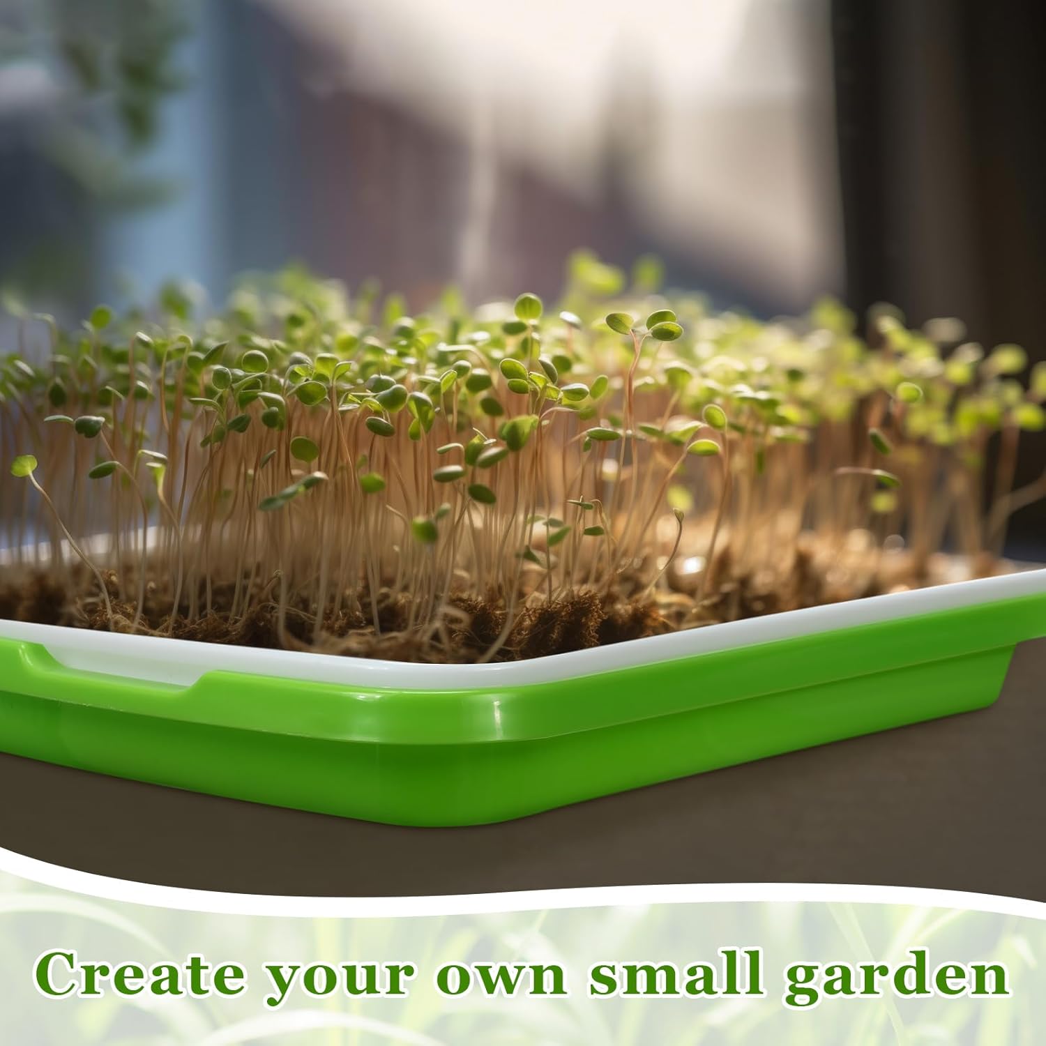 Microgreen grow station - 5 shelf with / 10 trays + 4 grow light kit + Free seed kit