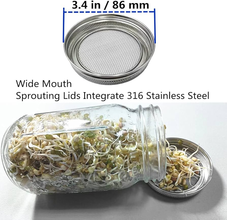 2 Glass Sprouting / Germinating mason Jar mesh lid system w/ carriage holder