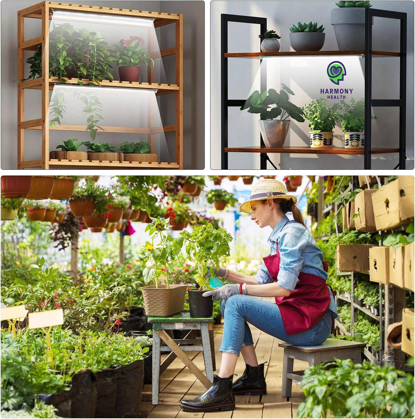 Microgreen grow station - 5 shelf with / 10 trays + 4 grow light kit + Free seed kit