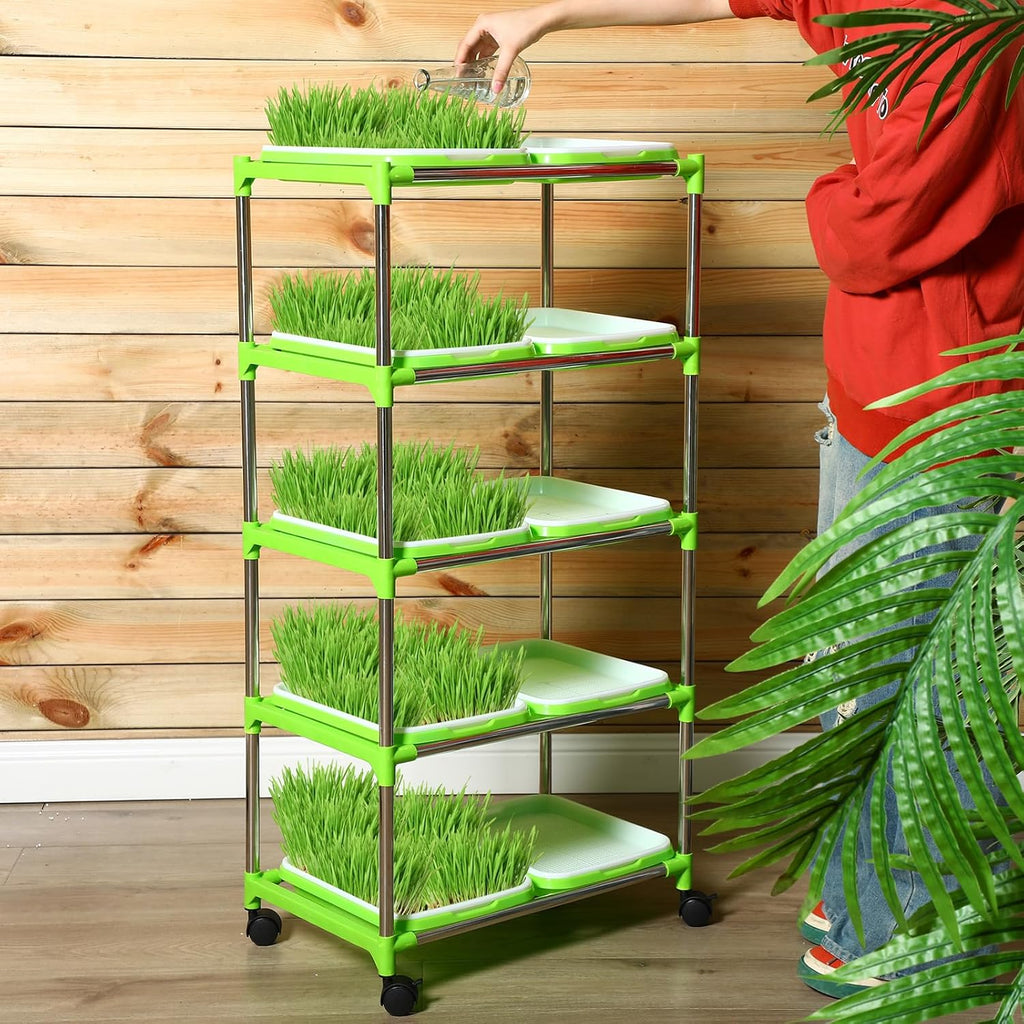 Microgreen grow station - 5 shelf with / 10 trays + 4 grow light kit + Free seed kit