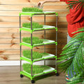Microgreen grow station - 5 shelf with / 10 trays + 4 grow light kit + Free seed kit