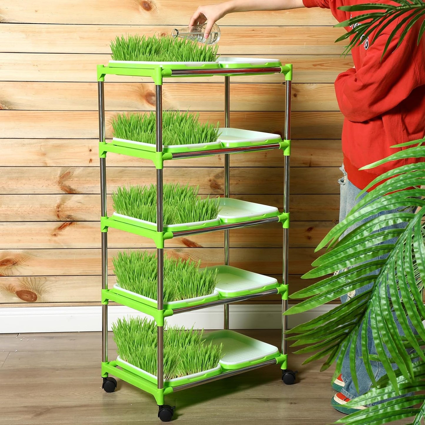 Microgreen grow station - 5 shelf with / 10 trays + 4 grow light kit + Free seed kit
