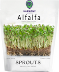 1/2 lb. Alfalfa Sprouting seeds