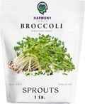 1 lb Broccoli seed