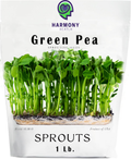 1 LB. of Green Pea seed