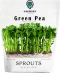 1/2 Lb. Green Pea Sprouting / Microgreen seeds
