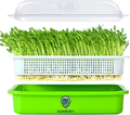 1 Tray + 1/2 lb. of Wheat Berry Sprouting Seeds