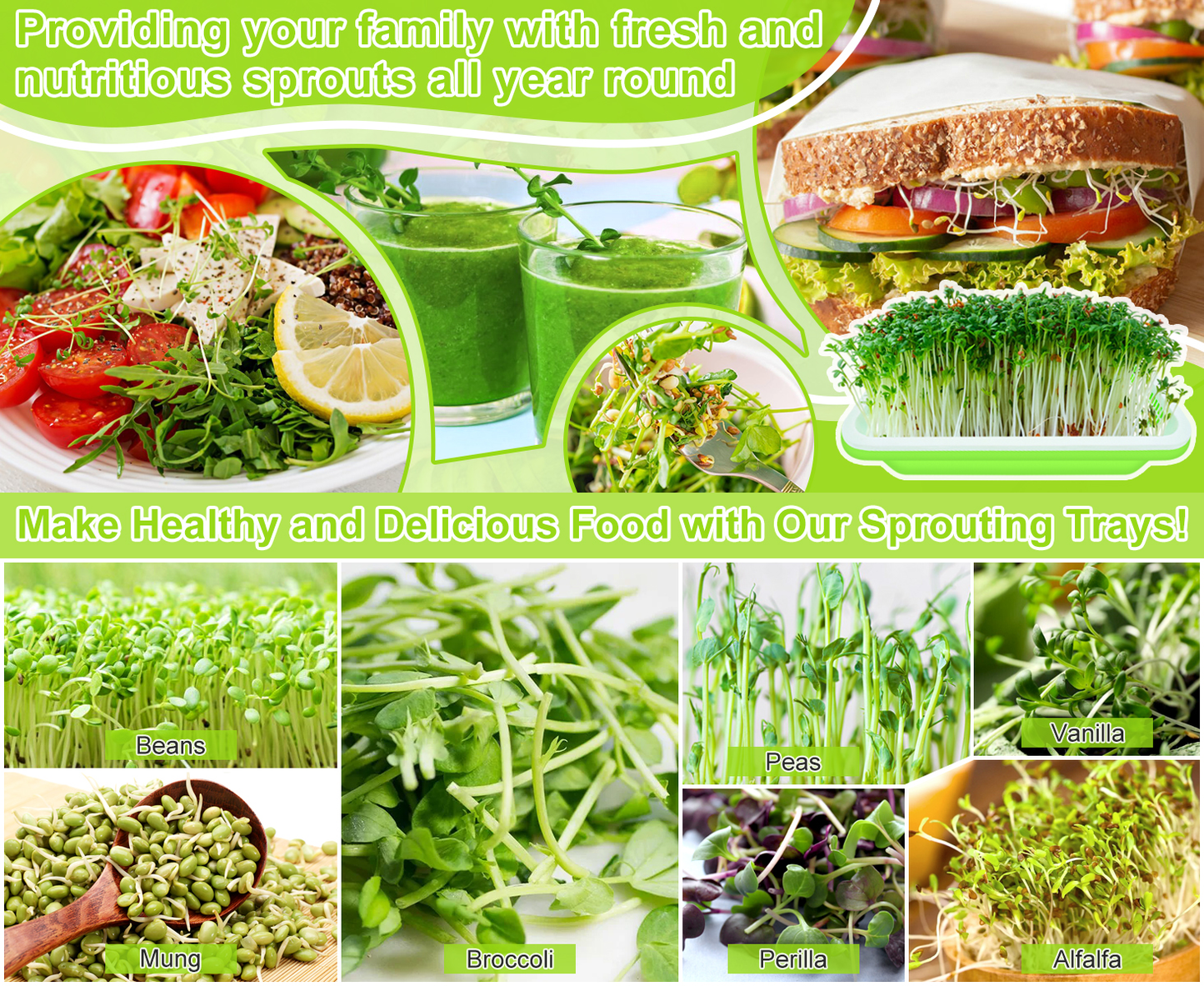 (3) Three Tray Kit + 1/2 lb. Wheat Berry seeds & 1/2 lb. of Broccoli seeds