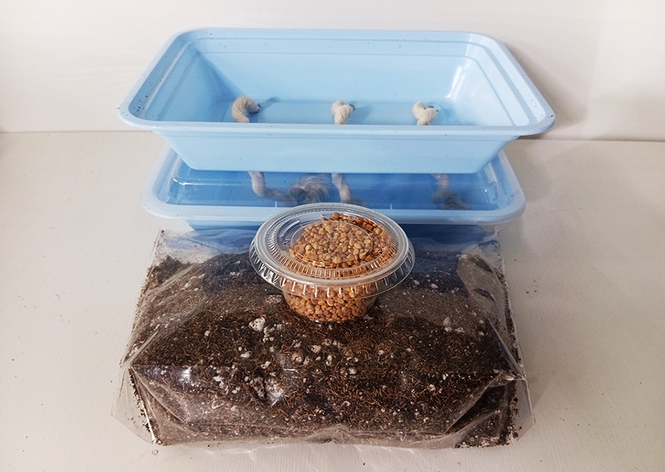 1  Self Watering Microgreens kit with seed and soil (Minimum of 20 grows)