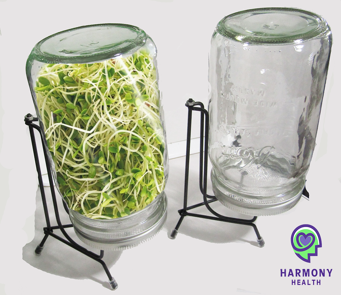 2 Glass Sprouting / Germinating mason Jar mesh lid system w/ carriage holder