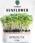 Sunflower black seed 1 lb.