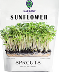 1/2 lb. Sunflower Sprouting / Microgreen seeds
